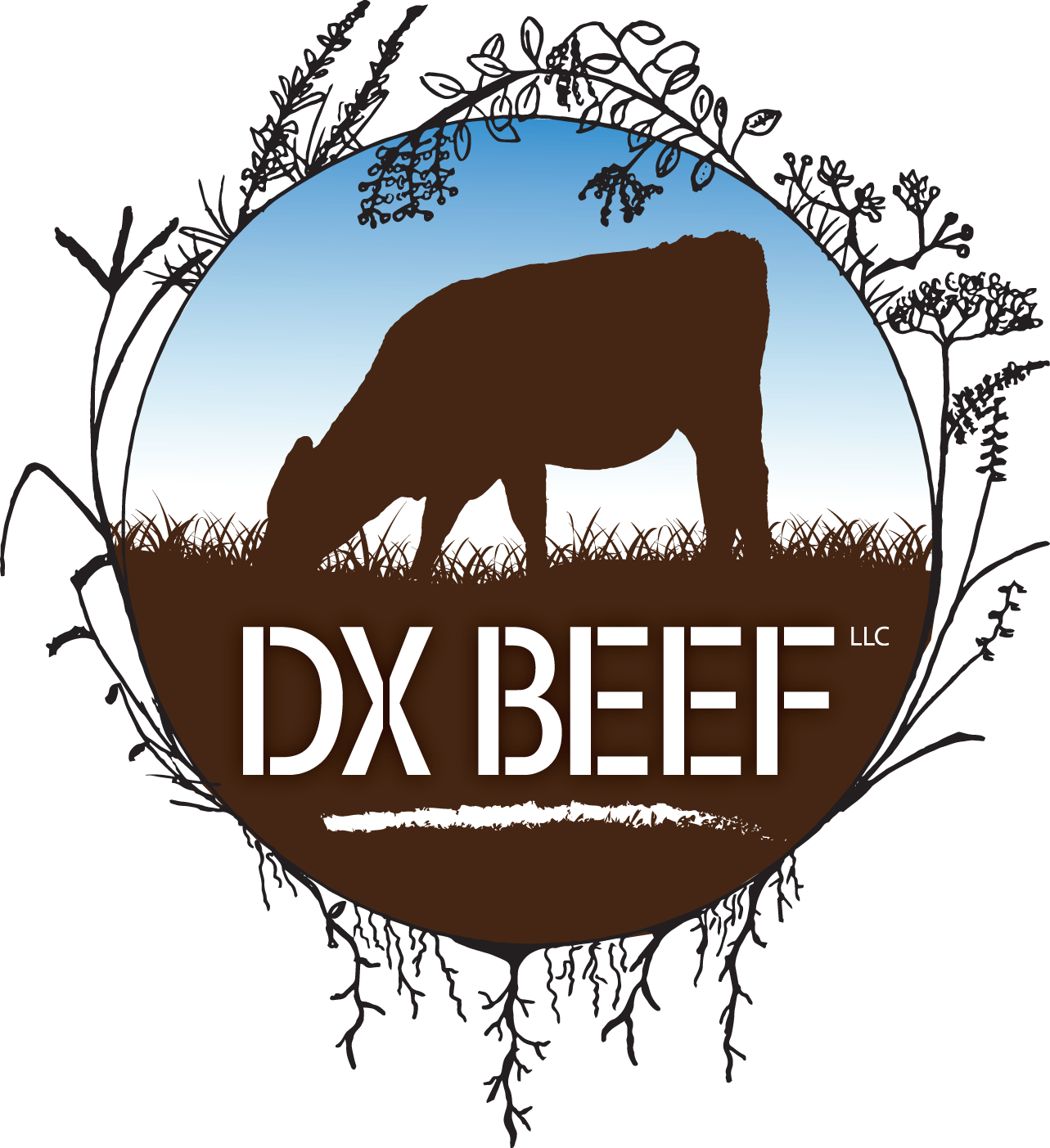 Logo of DX Beef LLC featuring a silhouette of a grazing cow against a gradient background, surrounded by stylized plant elements. The design emphasizes quality beef production and sustainable farming practices.